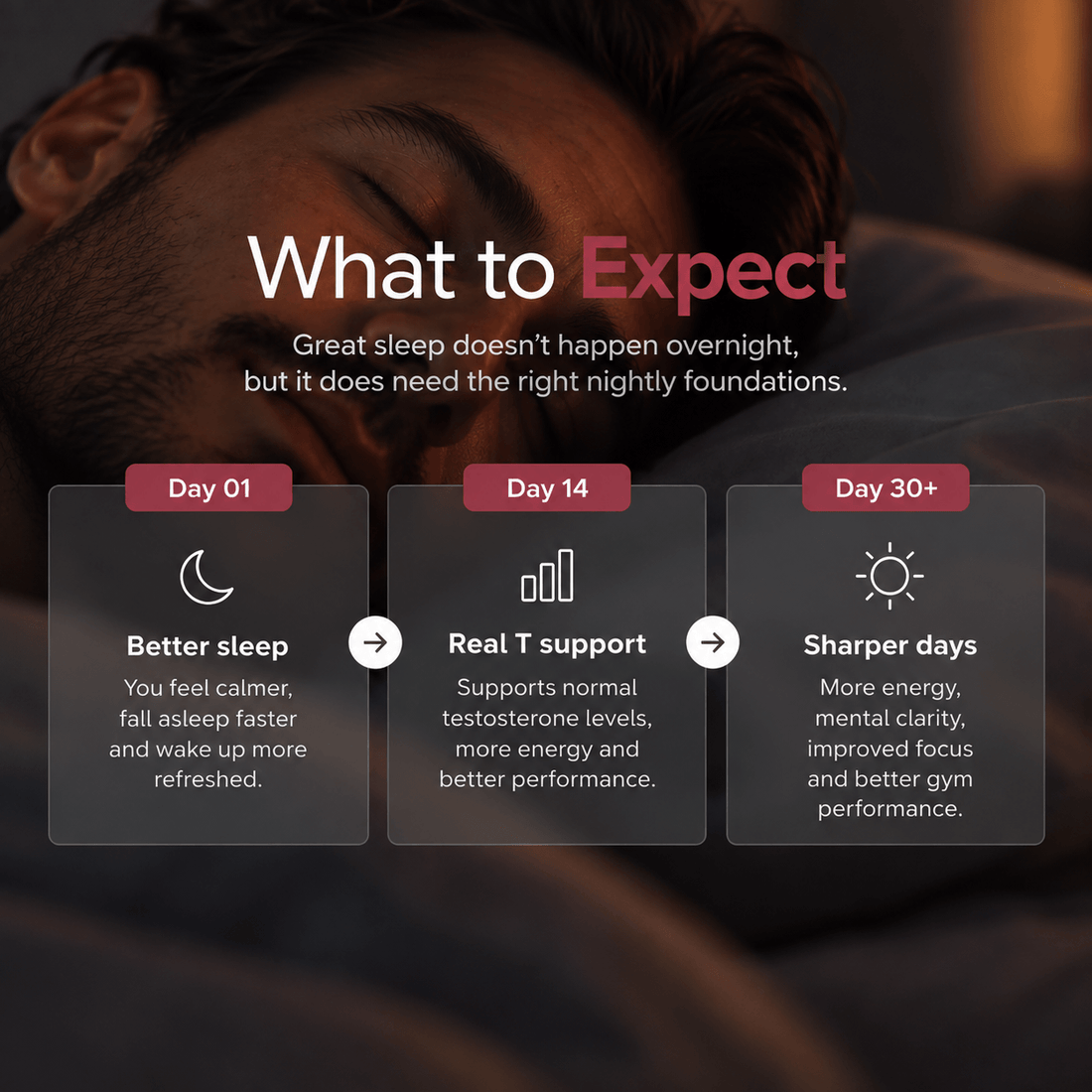 What to expect timeline graphic: day 1, day 14, day 30 and beyond